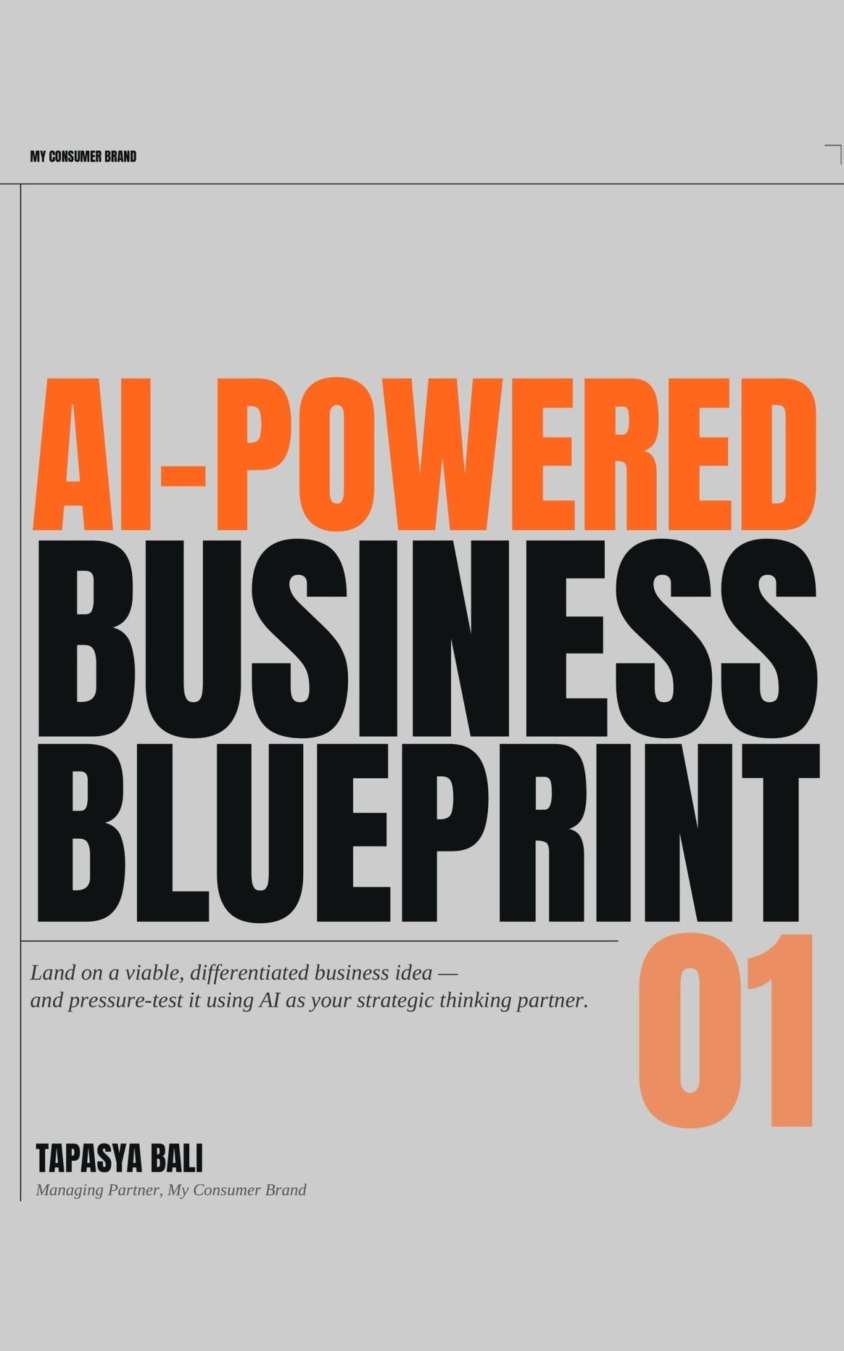 AI-Powered Business Blueprint - my consumer brand